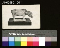 藏品(臺灣水牛雕刻明信片)的圖片